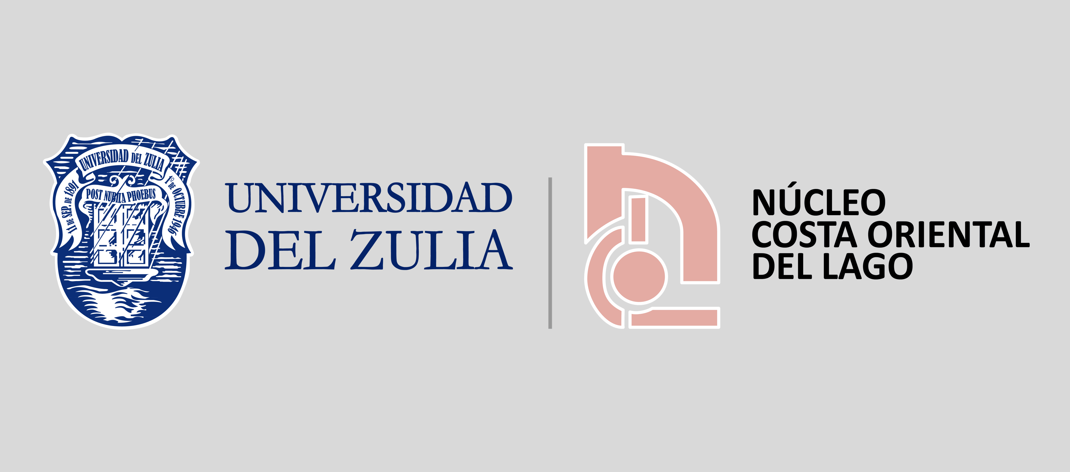Noticia 1